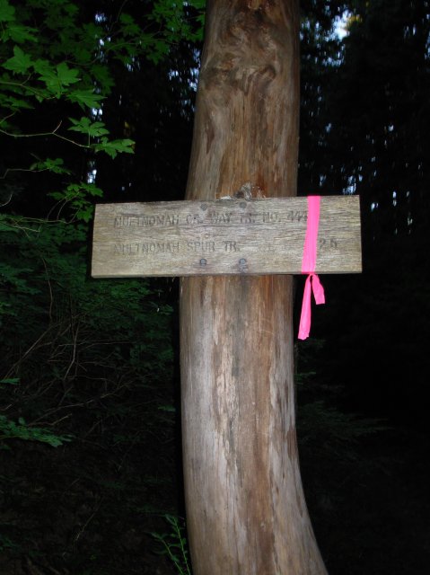 7.25.06 Larch Mountain 022 